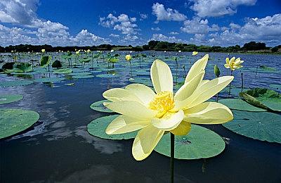 VR游戏《行尸走肉：圣人与罪人第二章》12月1日发售